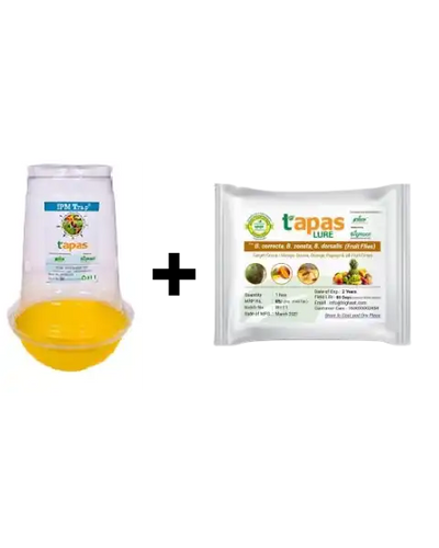 TAPAS FRUIT FLY TRAP & LURE- IPM COMBO
