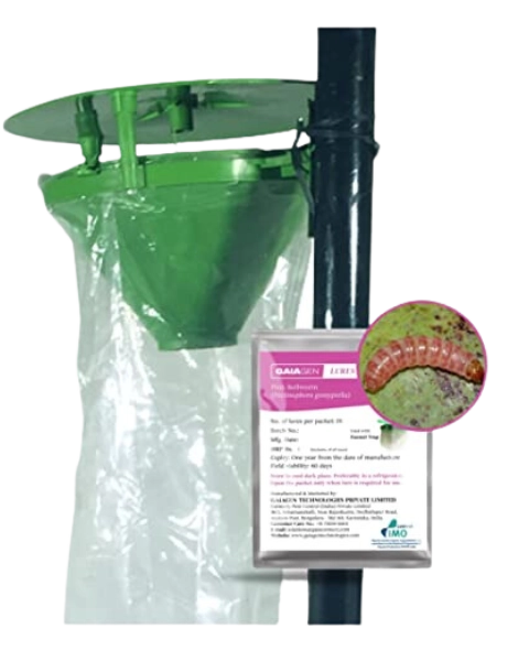 GAIAGEN PINK BOLLWORM LURE & INSECT FUNNEL TRAP COMBO PACK