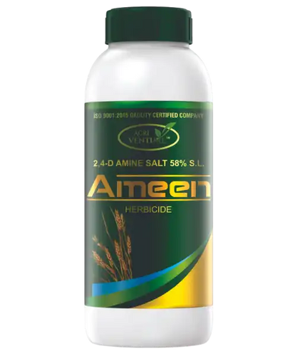 AGRIVENTURE AMEEN