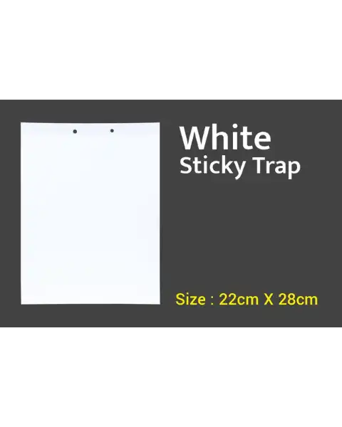 TAPAS WHITE STICKY TRAP 22 Cm X 28 Cm