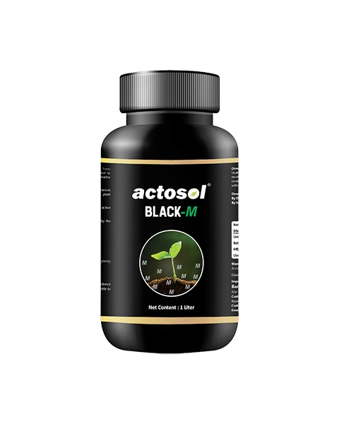 ACTOSOL BLACK-M