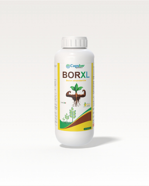 Capsber Borxl Micronutrient