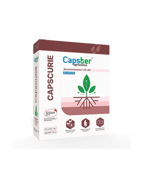 Capsber Capscurie Bio Insecticide