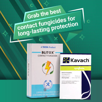 Contact Fungicides