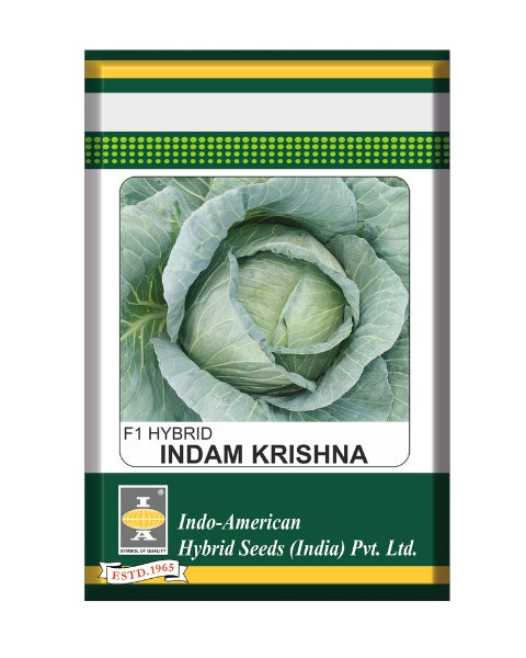 IAHS Cabbage Indam Krishna Seeds