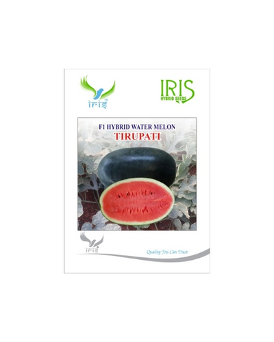 IRIS HYBRID F1 TIRUPATI WATERMELON ICE BOX SEGMENT