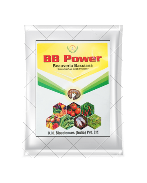 KN Biosciences BB Bio Insecticide.