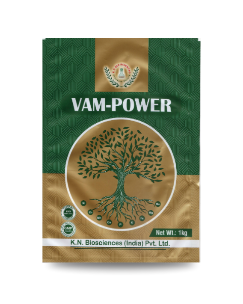 KN Biosciences Vam Power Bio Fertilizers
