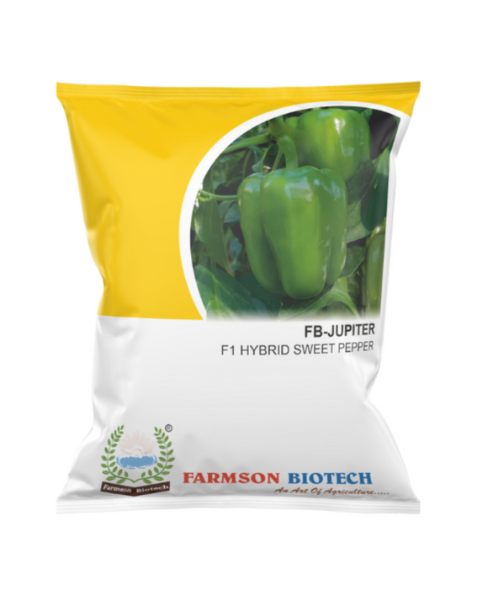 FB JUPITER F1 Hybrid Capsicum Seeds