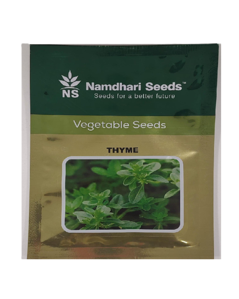 NS 11051 - Thyme