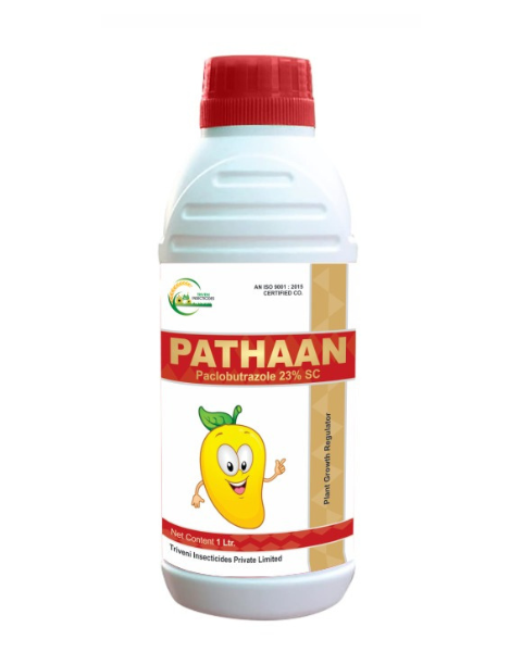 TRIVENI PATHAAN Growth Regulators