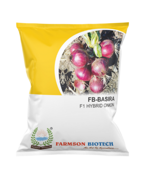 FB BASIRA (5440) F1 Hybrid Onion Seeds