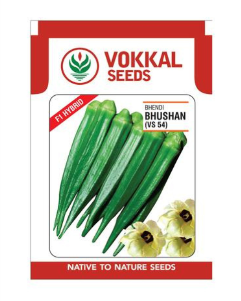 VOKKAL OKRA BHUSHAN
