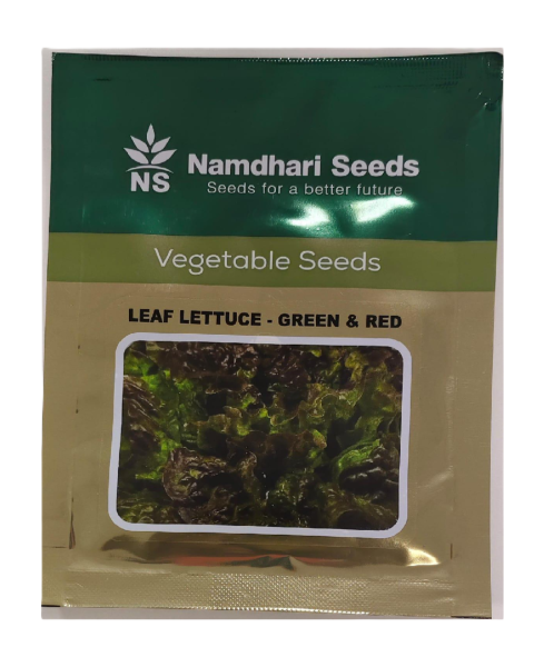 NS 10358 Leaf Green & Red - Lettuce