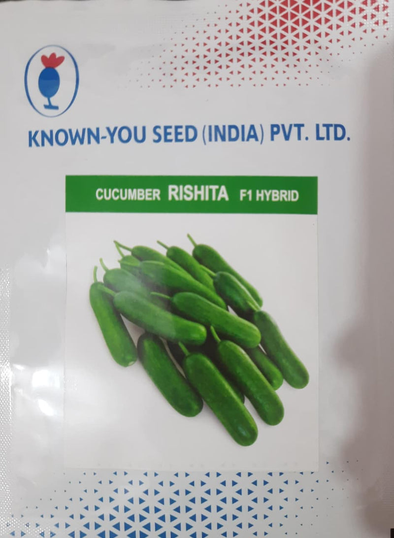 Rishita Cucumber