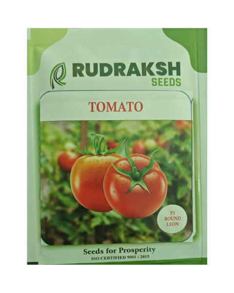 RUDRAKSH TOMATO - F1ROUND LEON - Tomato