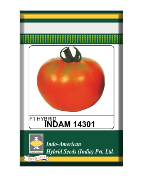 Indam 14301 Tomato Seeds