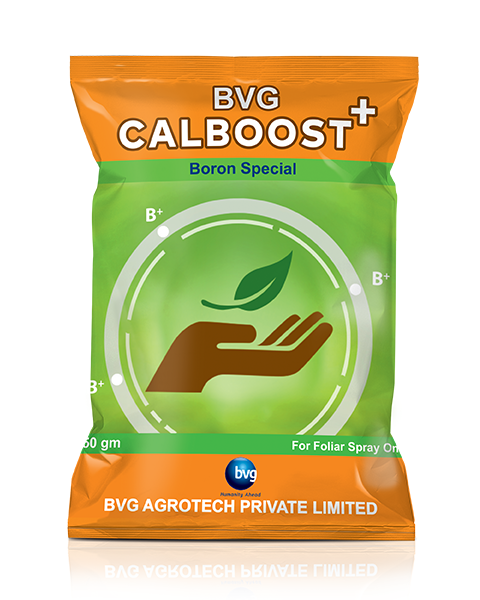 BVG Calboost Plus Fertilizers