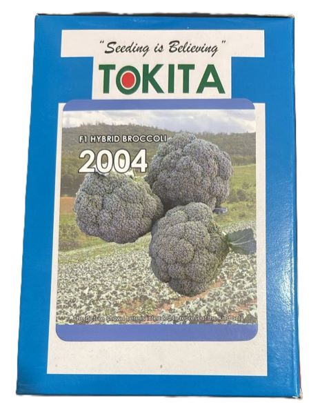 Tokita TSX 2004 F1 Hybrid Broccoli- Early, Heat Tolerant, Dome Shaped Head