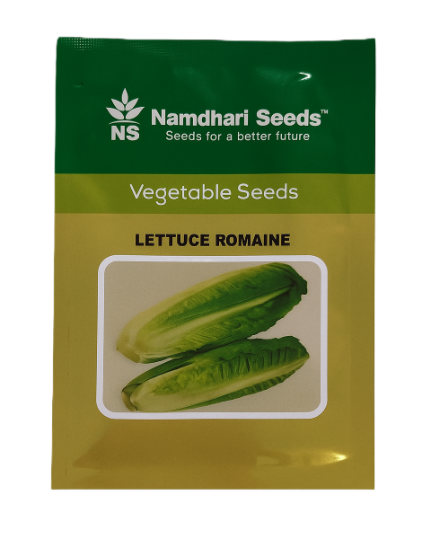 NS 10412 Romaine - Lettuce