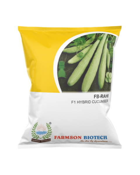 FB-RAHI F1 Hybrid Cucumber Seeds