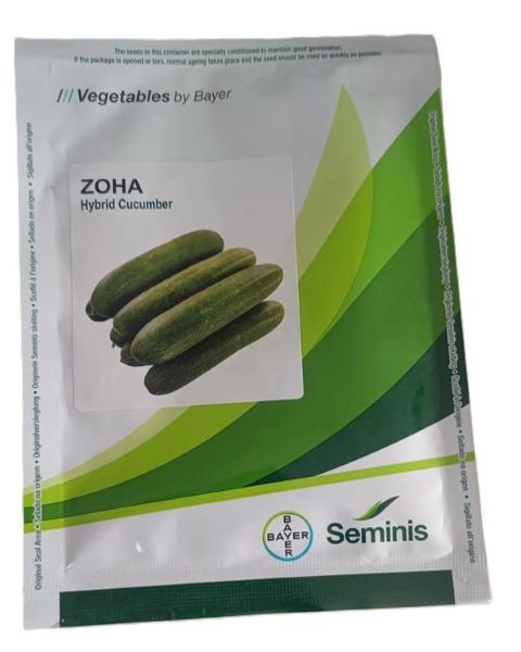 Zoha Cucumber