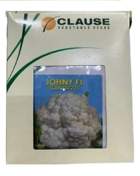 JOHNY F1 - Cauliflower