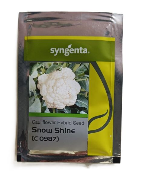Snow Shine (C 0987) Cauliflower Seeds