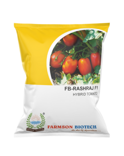 FB RASHRAJ F1 Hybrid Tomato Seeds