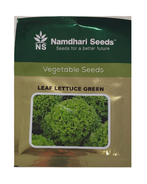 NS 10364 Leaf Green - Lettuce
