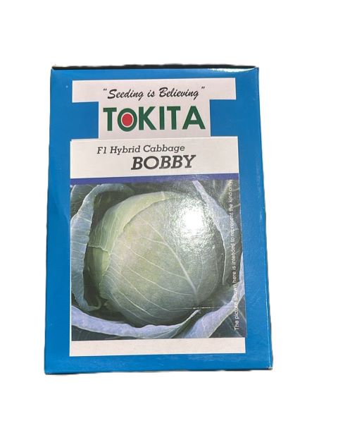 BOBBY F1 HYBRID - Cabbage