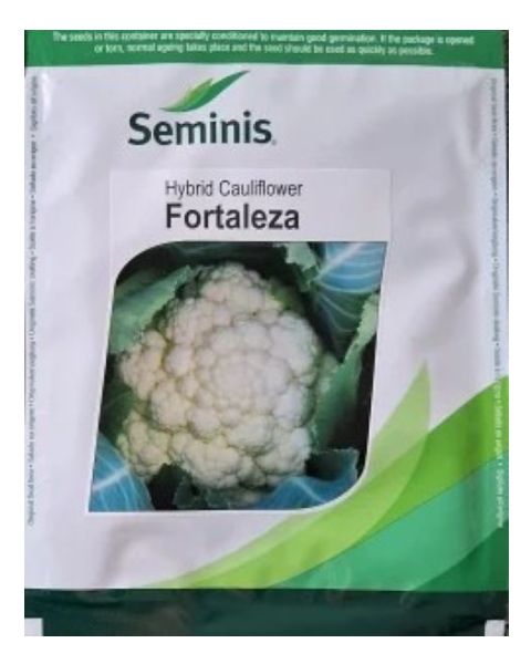 Fortaleza Cauliflower