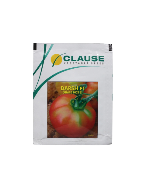 Darsh F1 Tomato Seeds