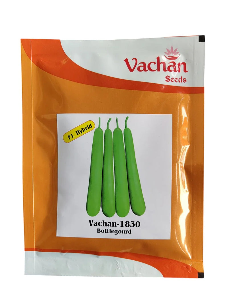 Vachan 1830 Bottle Gourd Seeds
