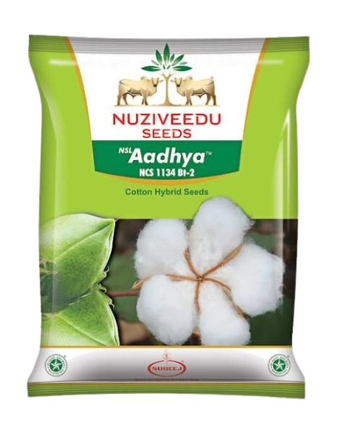 AADHYA NCS 1134 BT-2
