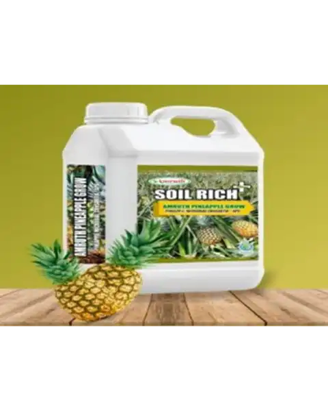 AMRUTH PINEAPPLE GROW (APG) | AMRUTH PINEAPPLE MICROBIAL CONSORTIA