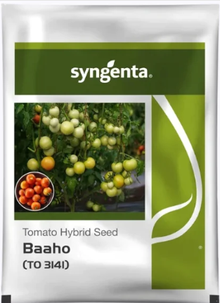 Baaho Tomato Seeds