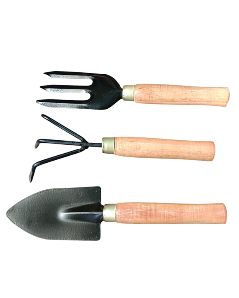Bharat 3 Piece Wooden Gardening Tool Kit