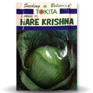 HARE KRISHNA CABBAGE SEEDS