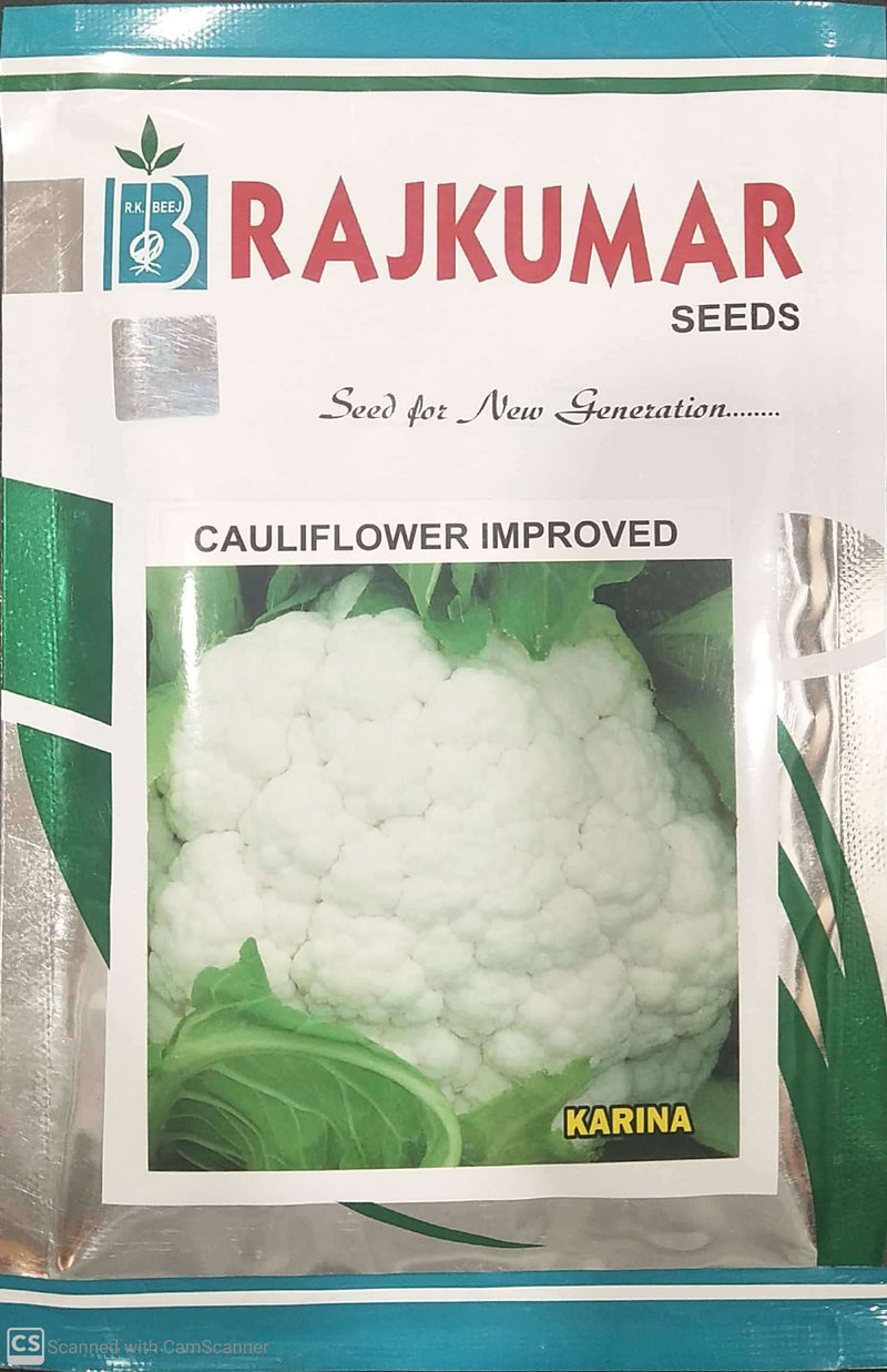 RAJKUMAR CAULIFLOWER KARINA IMPROVED SEEDS