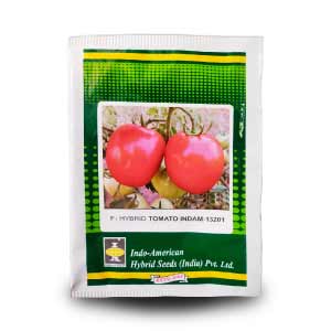 INDAM - 13201 TOMATO SEEDS