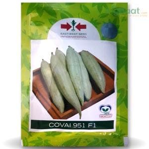 COVAI 951 SNAKE GOURD