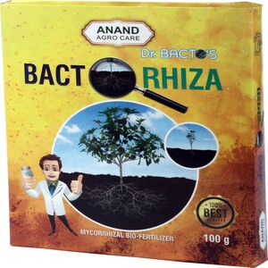 ANAND DR. BACTO&