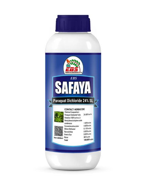 EBS SAFAYA