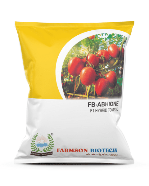 FARMSON F1 ABHIONE 1101 TOMATO SEEDS (OVAL, RED)