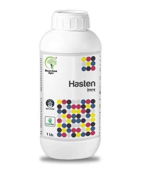 BLOOMFIELD HASTEN