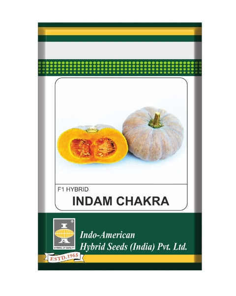Indam Chakra Pumpkin Seeds