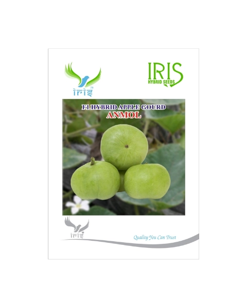 IRIS HYBRID F1 ANMOL APPLE GOURD (TINDA)