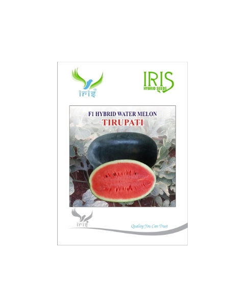 IRIS HYBRID F1 TIRUPATI WATERMELON ICE BOX SEGMENT