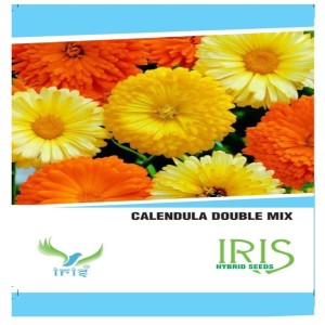 IRIS HYBRID FLOWER CALENDULA DOUBLE MIX SEEDS